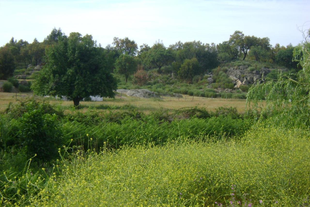 Tapada Da Beira Villa Marvão Kültér fotó